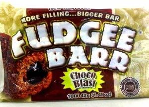 Rebisco Fudgee Bar Choco 420g-0